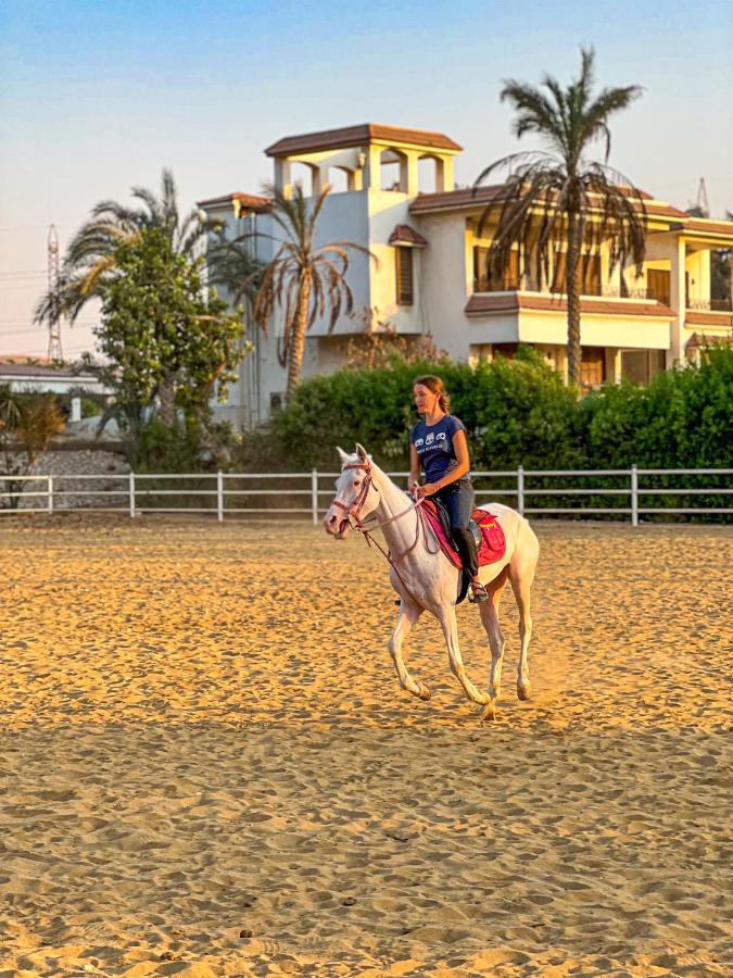 Sakkara Country Club Hotel Giza ภายนอก รูปภาพ